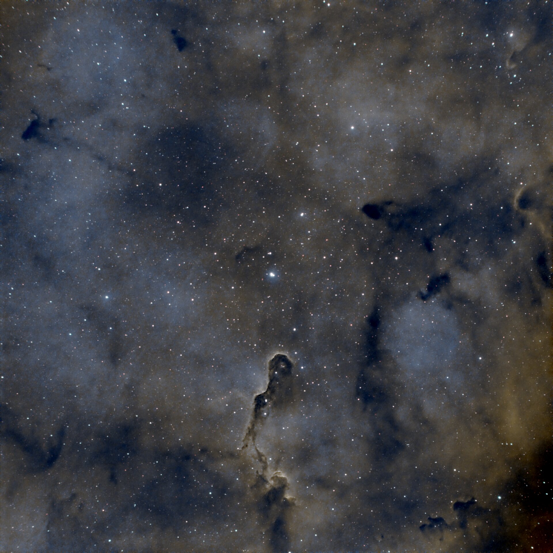 Elephant Trunk Nebula